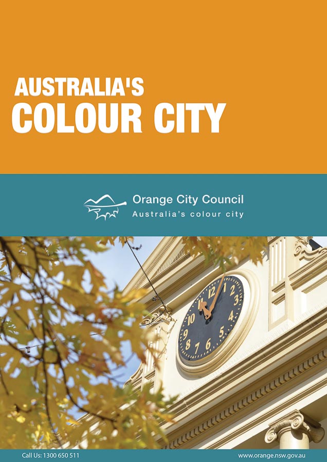 Orange City Council