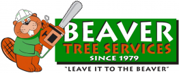 Beaver-Logo-262x107