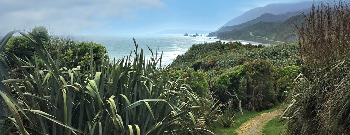 Grey District, New Zealand point Elizabeth walkway.