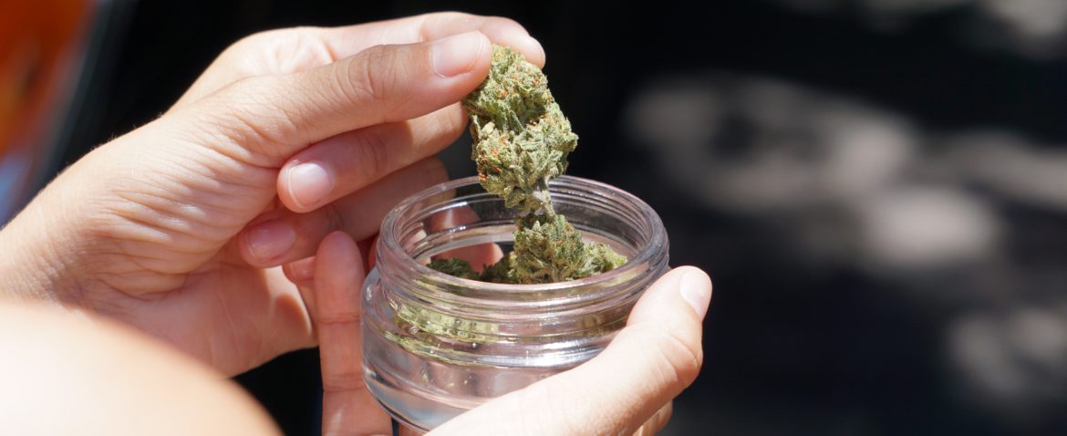 MiDispensary - Sydney, Australia