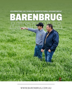 barenbrug